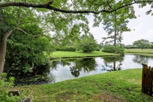 picture of a pond adjacent to 2913 Colonel Lamb Dr
